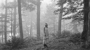 Woman in a Long Dress Standing in a Misty Black and White Forest, News Conference: Taylor Swift Folklore / 59 Taylor Swift Folklore On afari / taylor swift and taylor swift backgrounds for your computer HD wallpaper