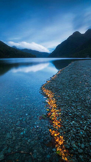 Serene Mountain Lake at Dusk with Golden Leaves on a Pebble Shore HD phone wallpaper