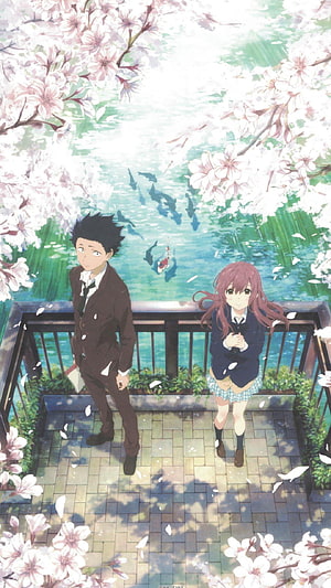 A Silent Voice Anime Characters Under Cherry Blossoms by a Koi Pond HD phone wallpaper