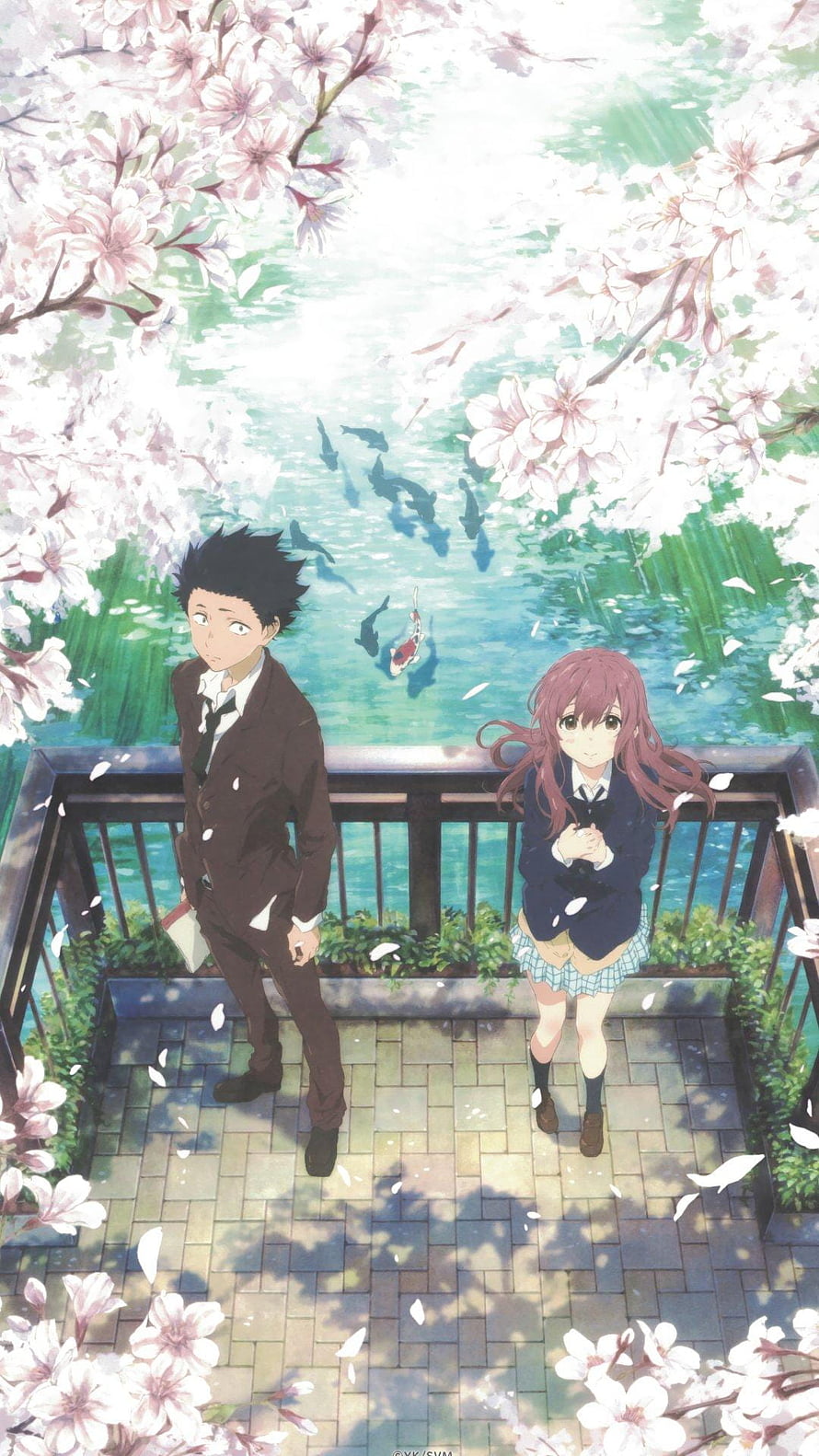 A Silent Voice Anime Characters Under Cherry Blossoms by a Koi Pond HD phone wallpaper