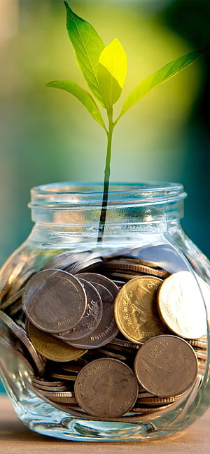 Green Plant Sprouting From Glass Jar Filled With Coins Symbolizing Financial Growth HD phone wallpaper
