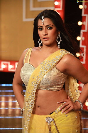 Varalaxmi Sarathkumar in Yellow Saree with Gold Blouse and Traditional Jewelry HD phone wallpaper