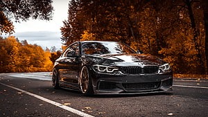Black BMW 4 Series Coupe on Autumn Road with Golden Forest Background HD wallpaper
