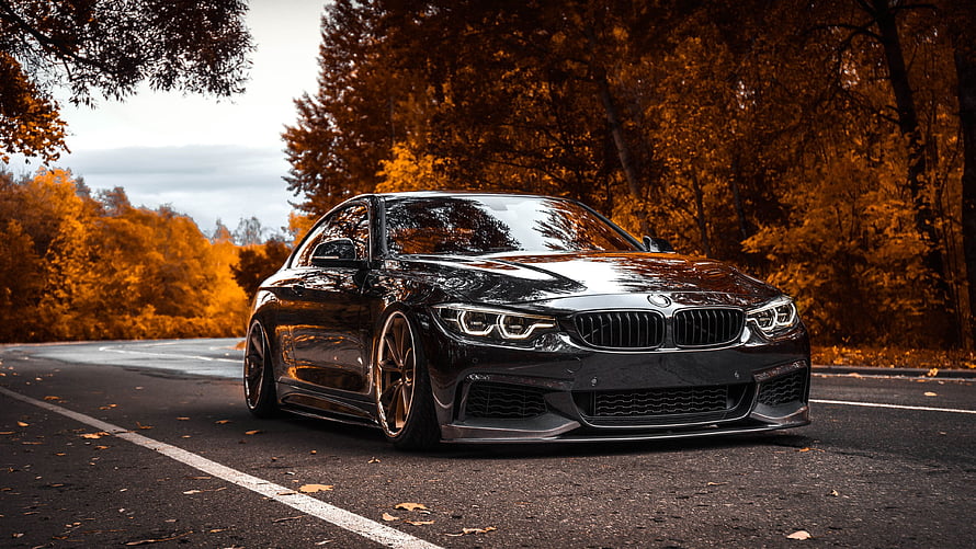 Black BMW 4 Series Coupe on Autumn Road with Golden Forest Background HD wallpaper