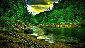 Lush Forest River Scene with Rocky Banks and Dramatic Cloudy Sky HD wallpaper