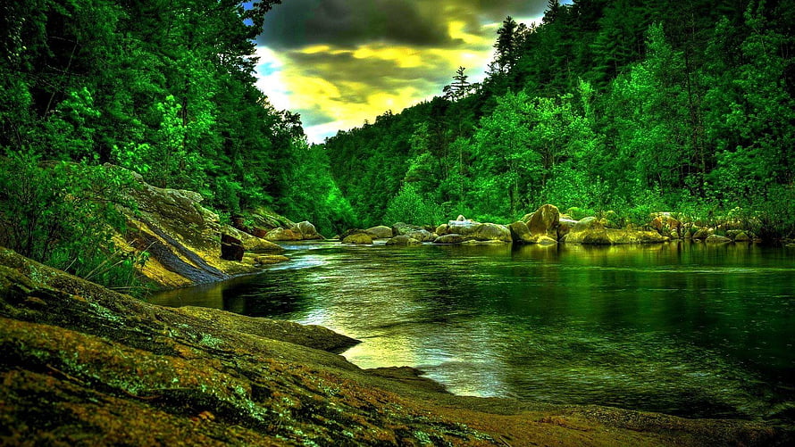Lush Forest River Scene with Rocky Banks and Dramatic Cloudy Sky HD wallpaper
