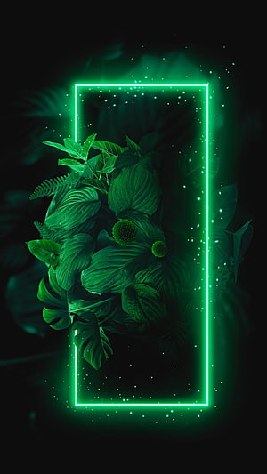 Glowing Green Neon Rectangle Frame With Tropical Leaves And Sparkles HD phone wallpaper
