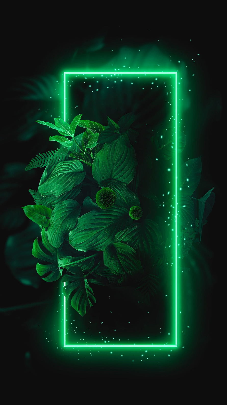 Neon Green Frame Surrounding Lush Tropical Foliage on Dark Background HD phone wallpaper