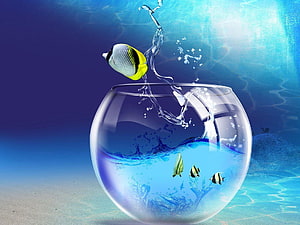 Spherical Glass Fish Bowl with Leaping Tropical Fish and Water Splash HD wallpaper