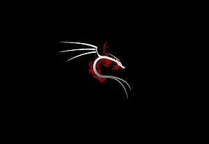 Stylized White Dragon Head With Red Flames On Black Background HD wallpaper