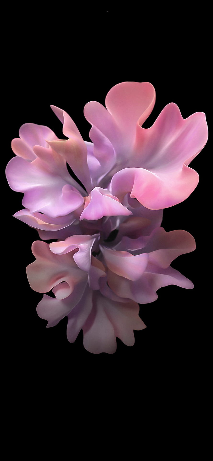 Abstract Pink and Purple Floral Sculpture on Black Background HD phone wallpaper