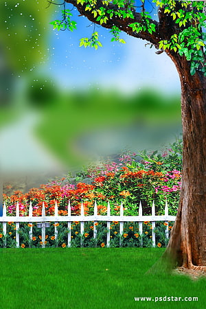Serene Garden Scene With White Picket Fence, Colorful Flowers, and Large Tree HD phone wallpaper