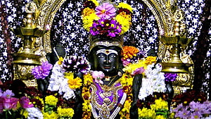 Black Statue of Goddess Kali Adorned with Flowers and Jewelry HD wallpaper