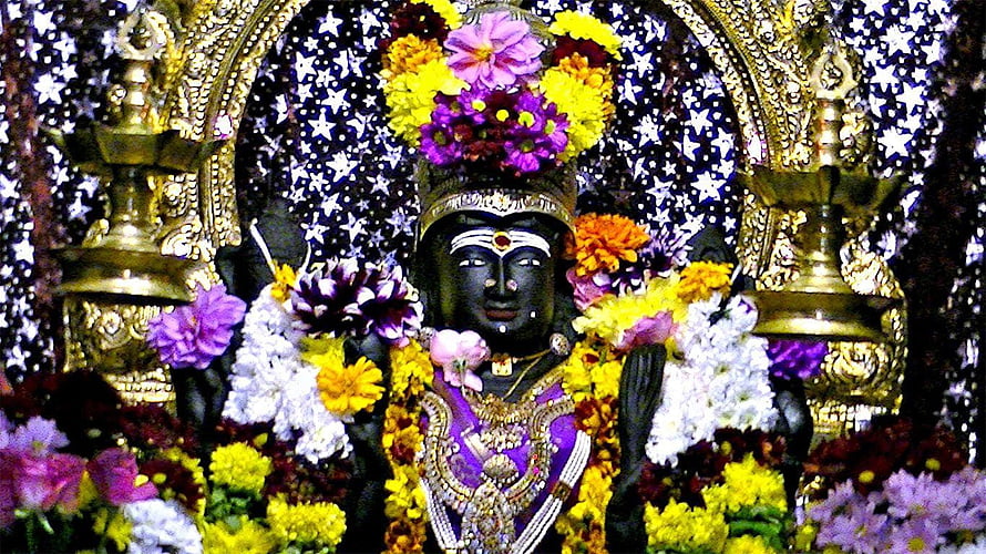 Black Statue of Goddess Kali Adorned with Flowers and Jewelry HD wallpaper