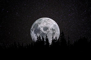 Giant Full Moon Rising Over Silhouetted Pine Forest Under Starry Night Sky HD wallpaper