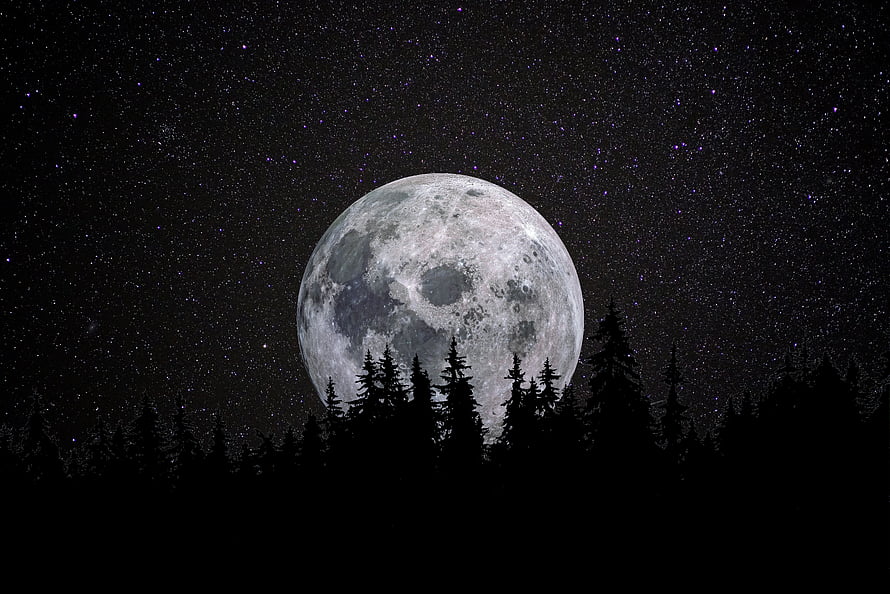 Giant Full Moon Rising Over Silhouetted Pine Forest Under Starry Night Sky HD wallpaper