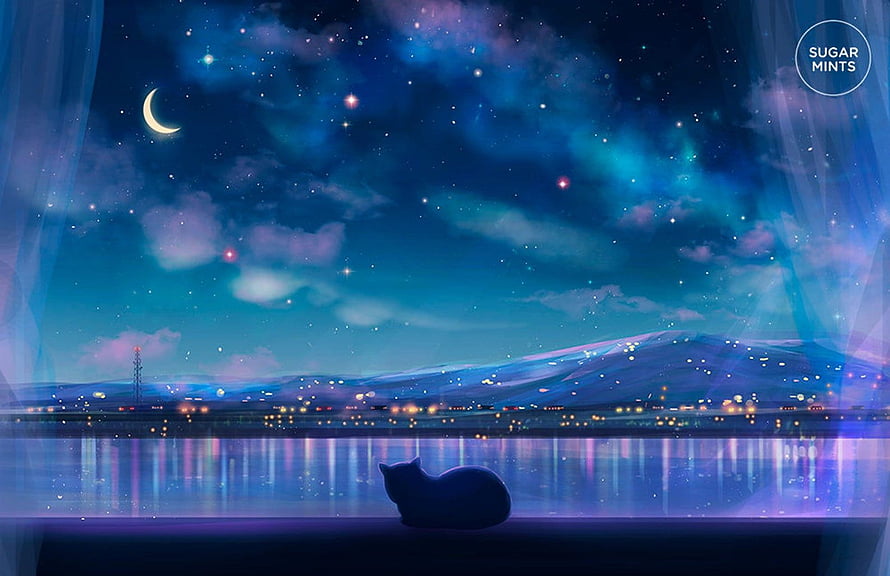 Silhouette of a Cat Watching a Starry Night Sky Over a Glowing Cityscape HD wallpaper