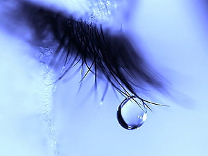 Close-up of a single tear drop hanging from an eyelash against a soft blue background HD wallpaper