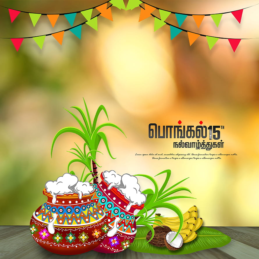 Pongal Festival Illustration with Decorated Pots, Bananas, Coconut, and Colorful Bunting HD phone wallpaper