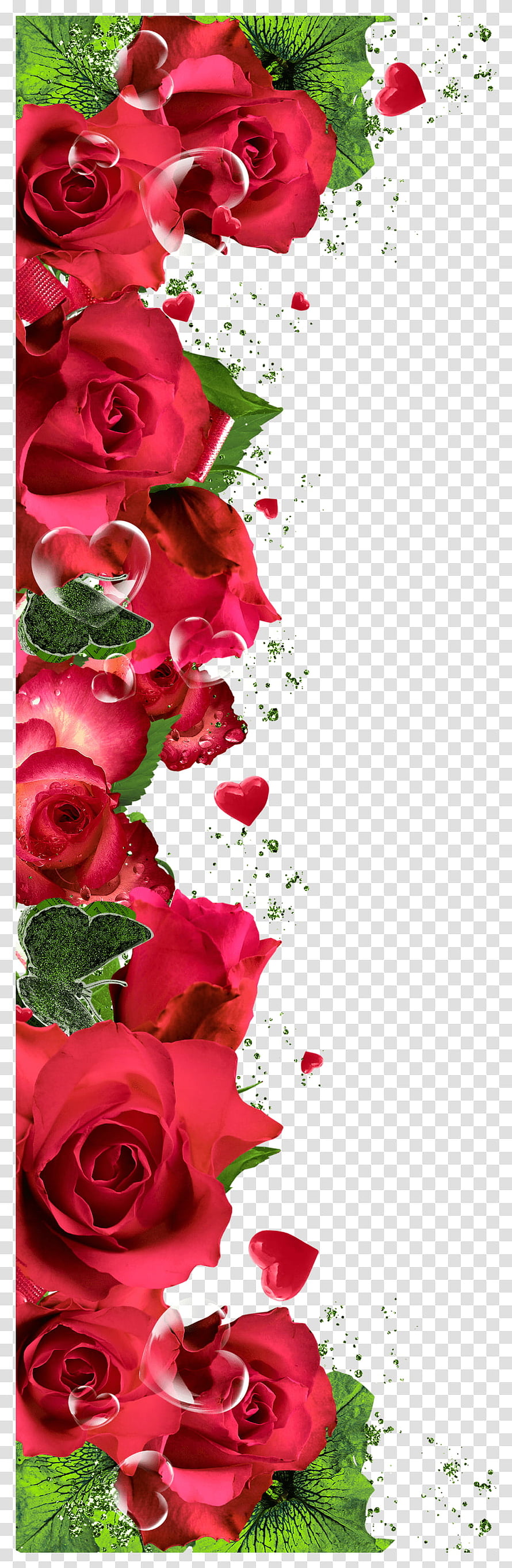 Red Rose Floral Border with Hearts and Bubbles on Transparent Background HD phone wallpaper