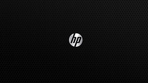HP Logo on Black Perforated Metal Texture Background HD wallpaper