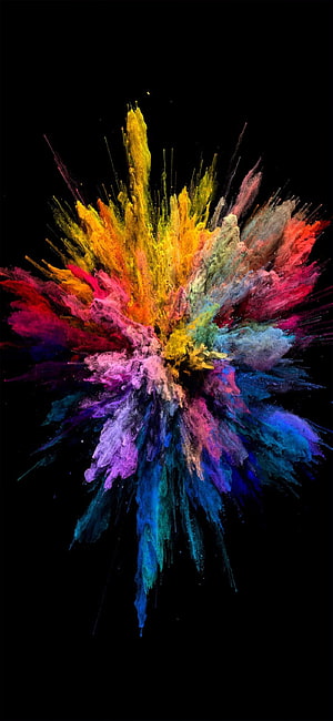 Vibrant Multicolor Powder Explosion Bursting Against Black Background HD phone wallpaper