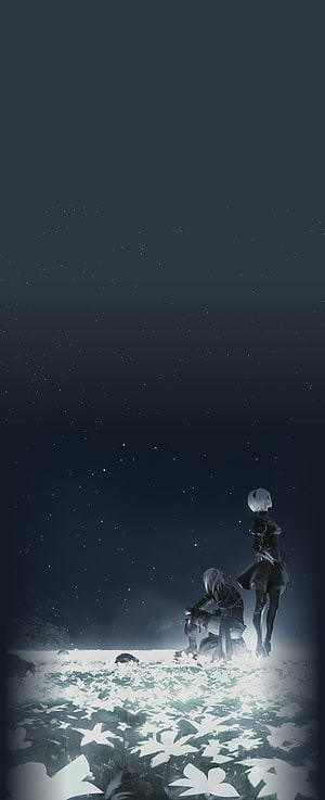 2B and 9S sitting in a field of white flowers under a starry night sky from NieR: Automata HD phone wallpaper