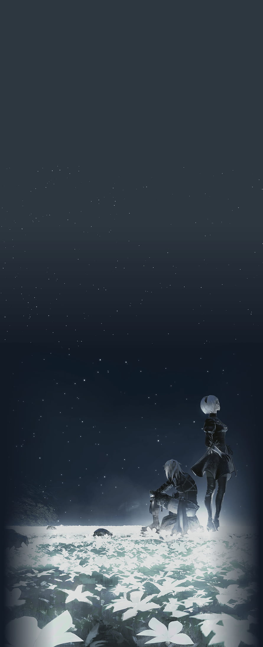 2B and 9S sitting in a field of white flowers under a starry night sky from NieR: Automata HD phone wallpaper