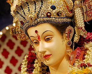 Vaishno Devi Murti Adorned With Jewels And Floral Garlands HD wallpaper