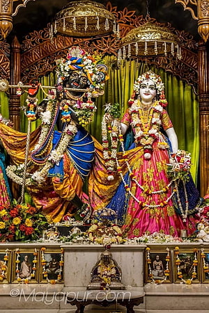 Radha and Krishna Deities in a Temple Altar with Floral Garlands HD phone wallpaper
