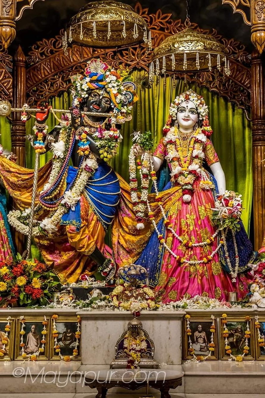 Radha and Krishna Deities in a Temple Altar with Floral Garlands HD phone wallpaper