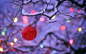 Red Christmas Ornament Hanging on Snowy Branch with Bokeh Lights HD wallpaper