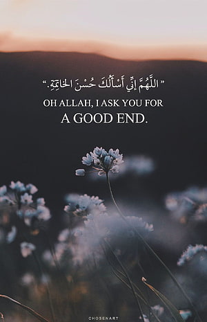 Islamic prayer for a good ending with white flowers at sunset HD phone wallpaper