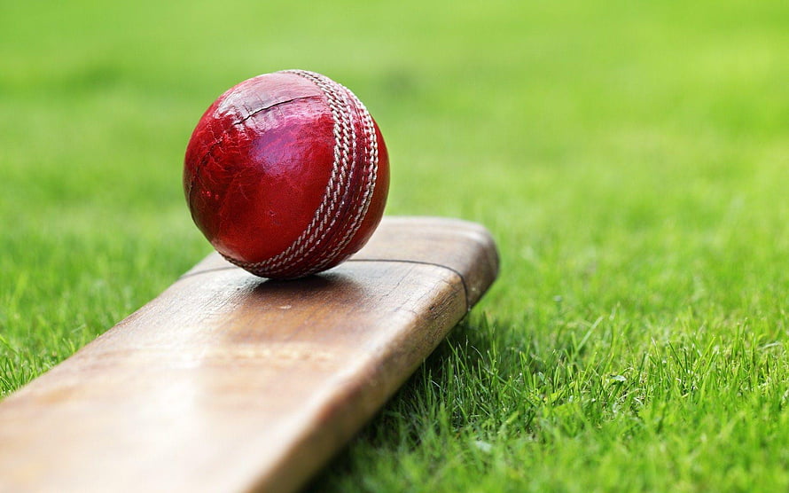 Red cricket ball resting on a wooden bat on a lush green field HD wallpaper