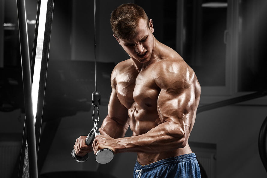 Muscular Athlete Performing Cable Tricep Pushdown in Dark Gym Setting HD wallpaper