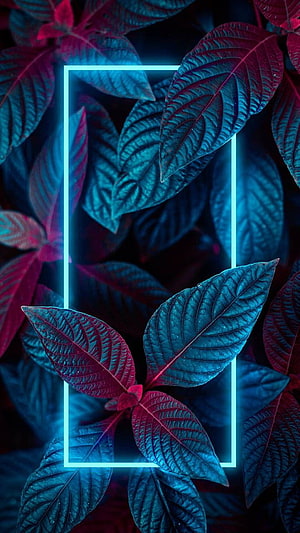 Neon Blue Rectangle Frame Over Dark Red and Blue Leaves HD phone wallpaper