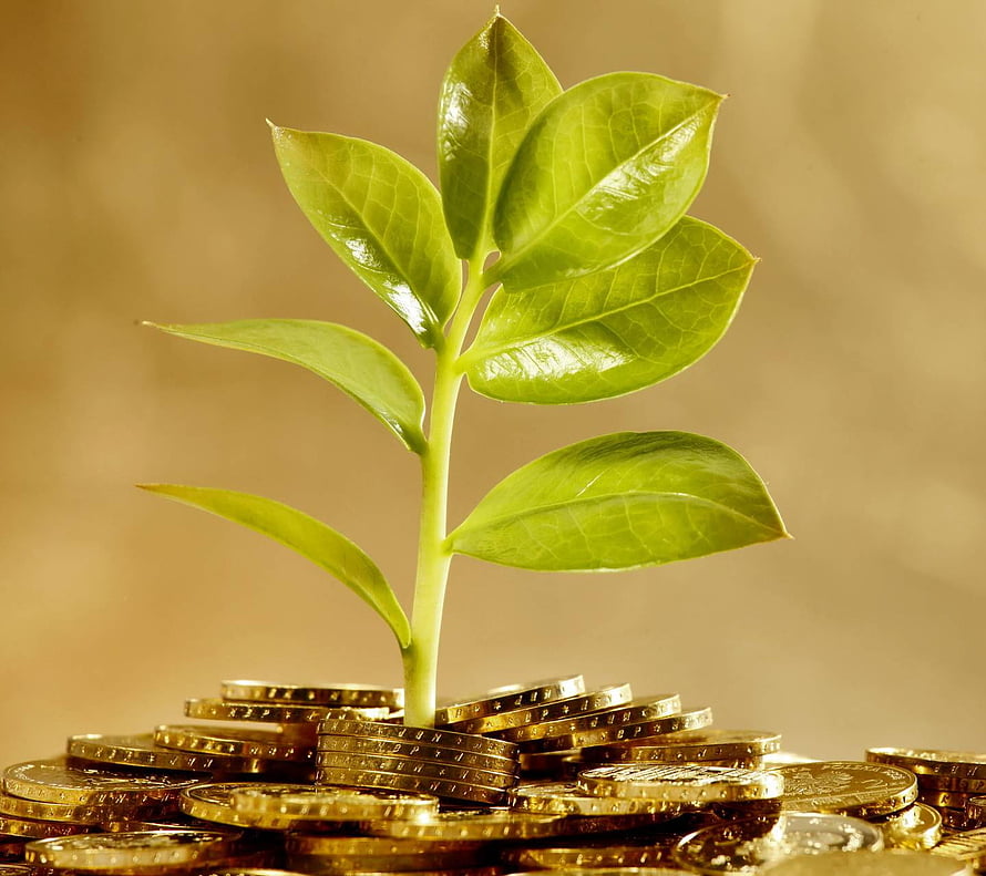 Green Sapling Growing from a Stack of Gold Coins on a Warm Background HD wallpaper