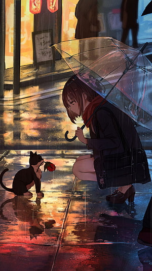 Anime Girl with Transparent Umbrella Offering Rose to Black Cat in Rainy City Street HD phone wallpaper