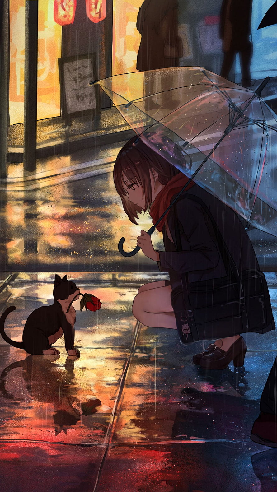 Anime Girl with Transparent Umbrella Offering Rose to Black Cat in Rainy City Street HD phone wallpaper