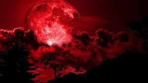 Eerie Blood Moon Rising Over Silhouetted Forest and Dramatic Clouds HD wallpaper