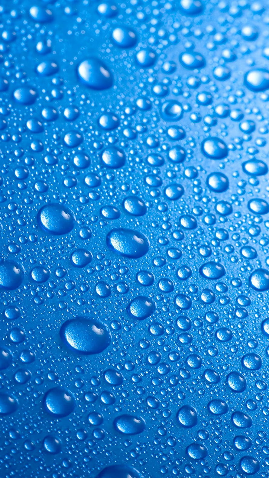 Macro Photography of Water Droplets on a Vibrant Blue Surface HD phone wallpaper
