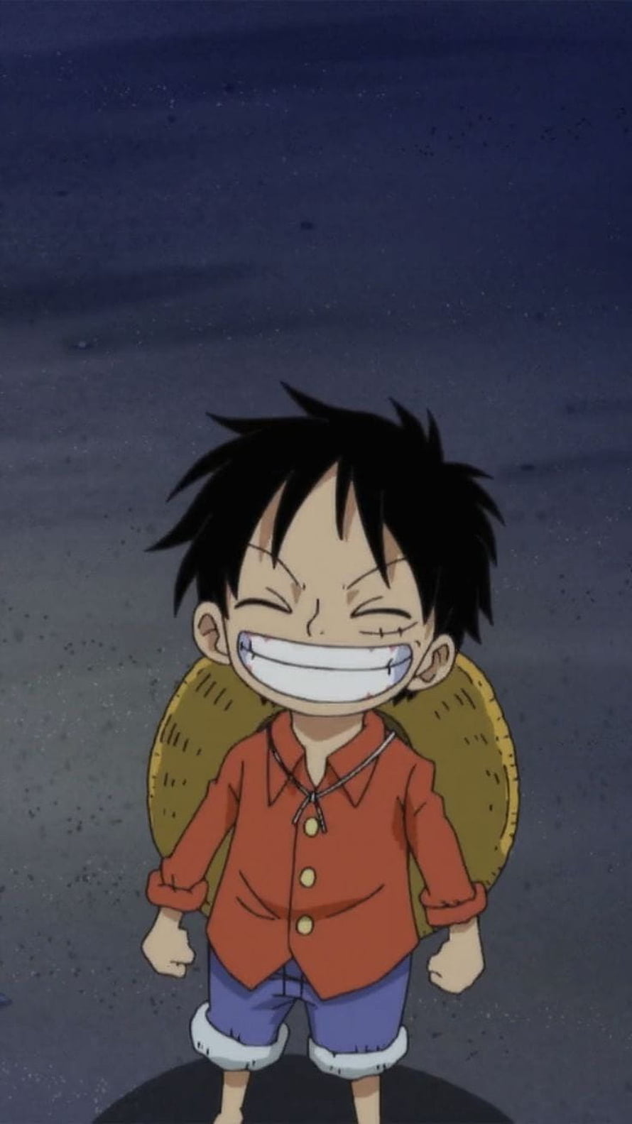 Monkey D Luffy Smiling With Straw Hat On Back In One Piece Anime HD phone wallpaper