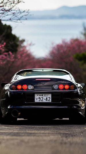 Rear View of Black Toyota Supra MK4 Parked Before Cherry Blossoms and Ocean HD phone wallpaper