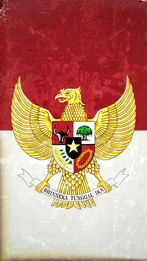 Garuda Pancasila Emblem on Textured Red and White Background HD phone wallpaper