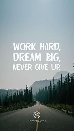Inspirational Quote Work Hard Dream Big Never Give Up On A Scenic Forest Road Wallpaper HD phone wallpaper