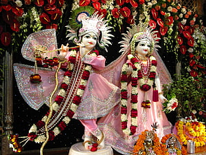 Radha Krishna idols adorned in pink silk and floral garlands playing flute HD wallpaper