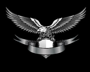 Monochrome Eagle Crest with Shield and Ribbon Banner on Black Background HD wallpaper
