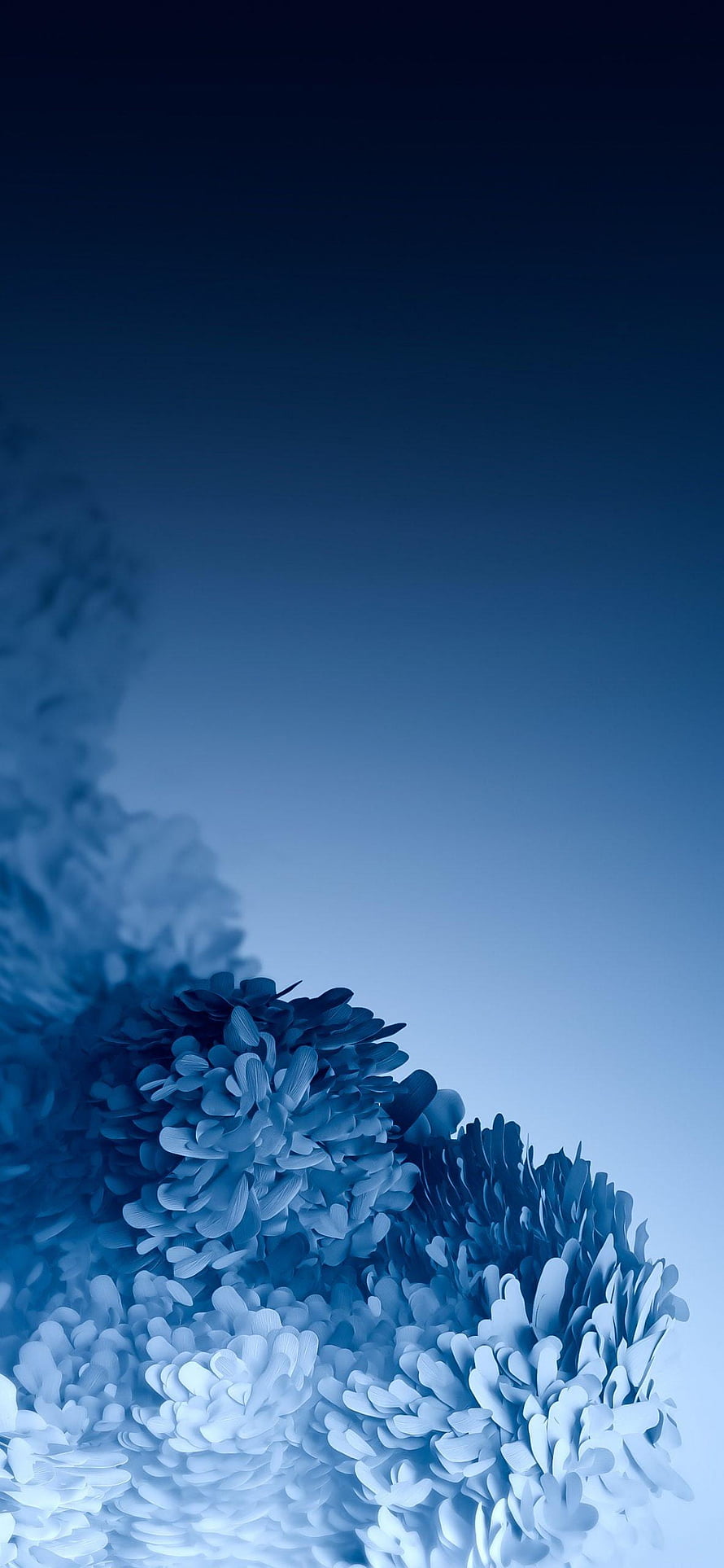 Abstract Blue Floral Gradient Wallpaper With Soft Petals And Minimalist Design HD phone wallpaper