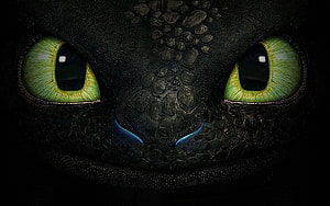 Toothless Night Fury Dragon Close-Up from How to Train Your Dragon HD wallpaper