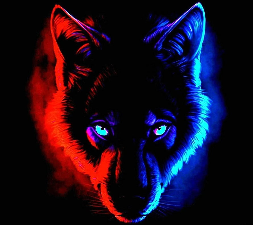 Neon Wolf Portrait with Glowing Cyan Eyes and Red Blue Lighting HD wallpaper